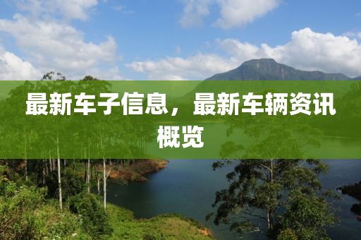 77777788888免费四肖全局释义、专家解析解释与落实,远离虚假信息