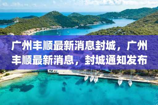 广州丰顺最新消息封城,广州丰顺最新消息,封城通知发布中山市多米克自动化设备有限公司