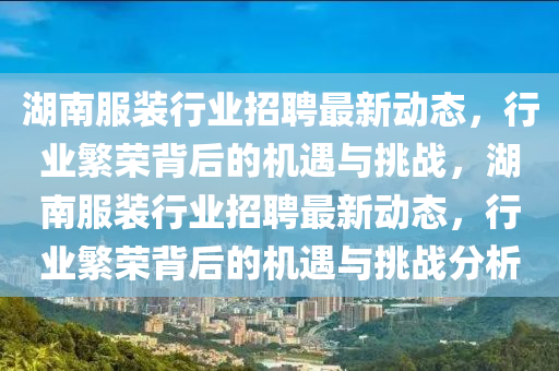 湖南服装行业招聘最新动态,行业繁荣背后的机遇与挑战,湖南服装行业招聘最新动态,行业繁荣背后的机遇与挑战分析中山市多米克自动化设备有限公司