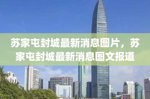 苏家屯封城最新消息图片,苏家屯封城最新消息图文报道中山市多米克自动化设备有限公司