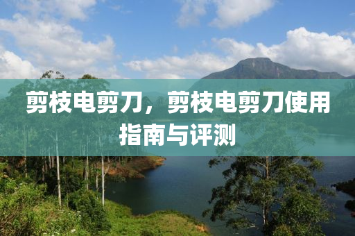 剪枝电剪刀,中山市多米克自动化设备有限公司剪枝电剪刀使用指南与评测