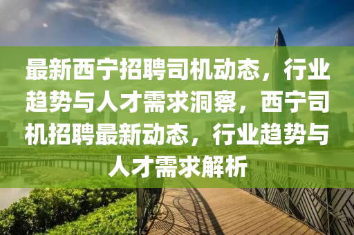 最新西宁招聘司机动态,行业趋势与人才需求洞察,西宁司机招聘最新动态,行业趋势与人才需求解析中山市多米克自动化设备有限公司