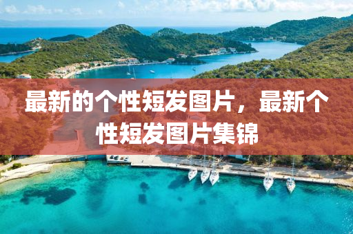 2005年新澳门同香港免费大全和规避虚假推广,安全解答、专家解析解释与落实