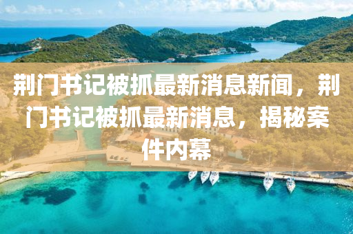 荆门书记被抓最新消息新闻,荆门书记被抓最新消息,揭秘案件内幕中山市多米克自动化设备有限公司
