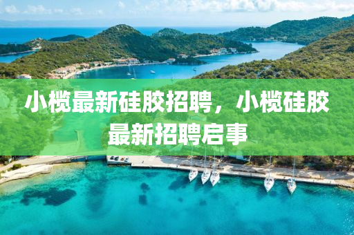 小榄最新硅胶招聘,小榄硅胶最新招聘启事中山市多米克自动化设备有限公司