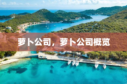 新奥或香港天天开奖资料大全600tKm和拒绝不实的假承诺语-数据释义、专家解读解释与落实