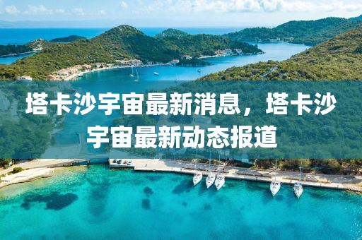 塔卡沙宇宙最新消息,塔卡沙宇宙最新动态报道中山市多米克自动化设备有限公司