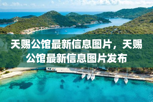 天赐中山市多米克自动化设备有限公司公馆最新信息图片,天赐公馆最新信息图片发布