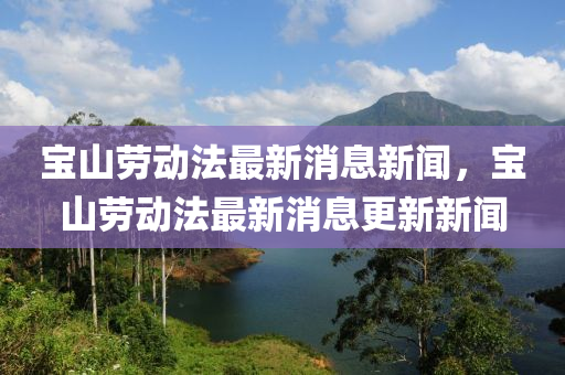 宝山劳动中山市多米克自动化设备有限公司法最新消息新闻,宝山劳动法最新消息更新新闻
