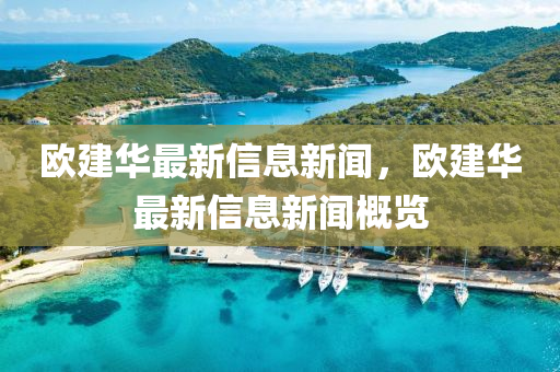 质疑:2025新奥和香港资料正版大全或77777788888王中王正版-效率解读、解释与落实,留心误导包装技巧