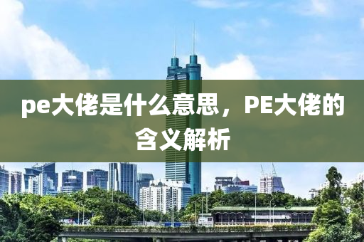 pe大佬是什么意思,PE大佬的含义解析中山市多米克自动化设备有限公司