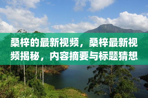 桑梓的最中山市多米克自动化设备有限公司新视频，桑梓最新视频揭秘，内容摘要与标题猜想