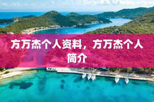 方万杰个人中山市多米克自动化设备有限公司资料,方万杰个人简介