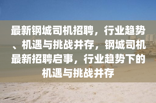 最新钢城司机招聘,行业趋势、机遇与挑战并存,钢城司机最新招聘启事,行业趋势下的机遇与挑战并存中山市多米克自动化设备有限公司