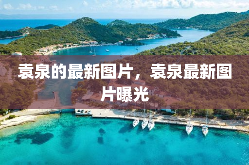 袁泉的最新图片,袁泉最新图片曝光中山市多米克自动化设备有限公司