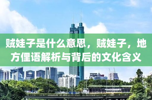 贼娃子是什么意思,贼娃子,地方俚语解析与背后的文化含义中山市多米克自动化设备有限公司