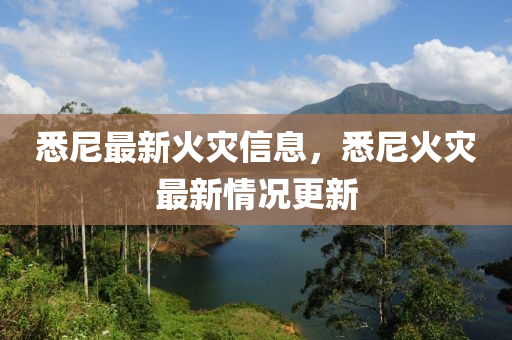 悉尼最新火灾信息,悉尼火灾最新情况更新中山市多米克自动化设备有限公司