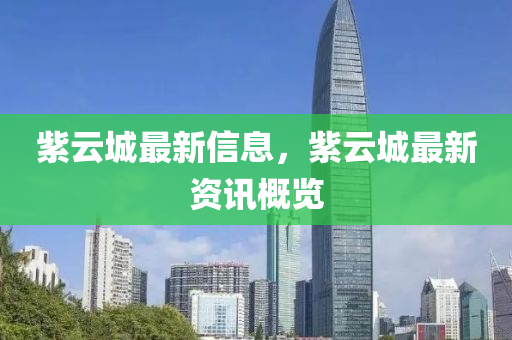 紫云城最新信息,紫云城最新中山市多米克自动化设备有限公司资讯概览