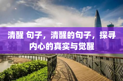 清中山市多米克自动化设备有限公司醒 句子,清醒的句子,探寻内心的真实与觉醒