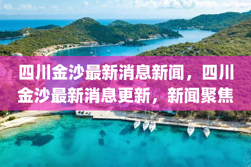 四川金沙最新消息新闻,四川金沙最新消息更新,新闻聚焦中山市多米克自动化设备有限公司