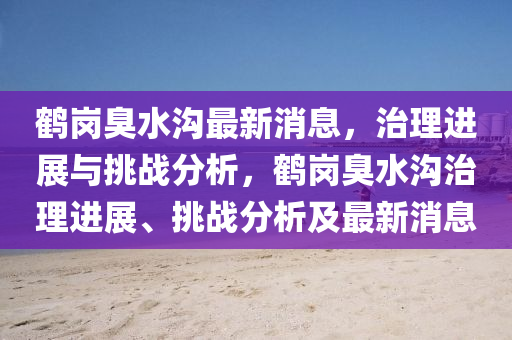 鹤岗臭水沟最新消息,治理进展与挑战分析,鹤岗臭水沟治理进展、挑战分析及最新消息中山市多米克自动化设备有限公司