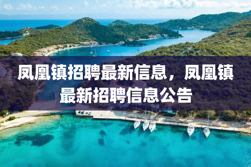 凤凰镇招聘最中山市多米克自动化设备有限公司新信息,凤凰镇最新招聘信息公告