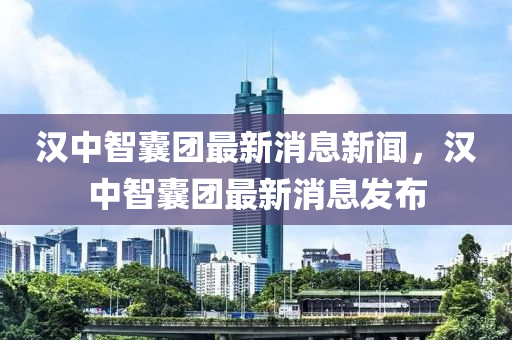 汉中智囊团最新消息新闻,汉中智囊团最新消息发布
