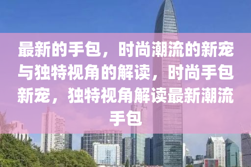 最新的手包,时尚潮流的新宠与独特视角的解读,时尚手包新宠,独特视角解读最新潮流手包