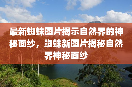 最新蜘蛛图片揭示自然界的神秘面纱,蜘蛛新图片揭秘自然界神秘面纱