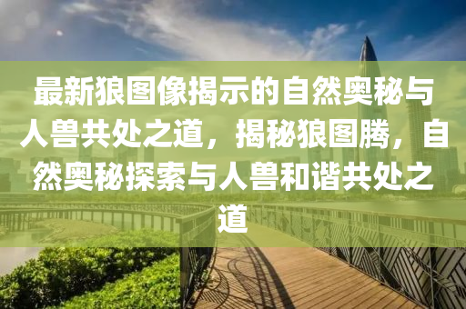 最新狼图像揭示的自然奥秘与人兽共处之道,揭秘狼图腾,自然奥秘探索与人兽和谐共处之道中山市多米克自动化设备有限公司