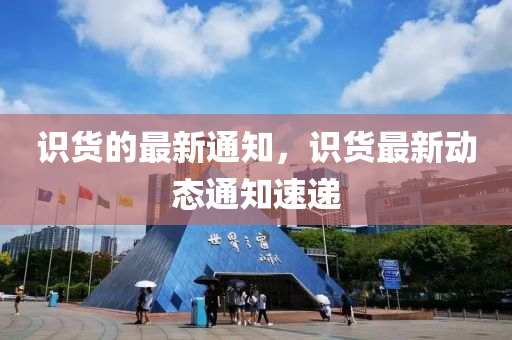 77778888888精准或77777888888免费管家官方下载二中二中:方案解读、专家解读解释与落实,防范不实的假营销