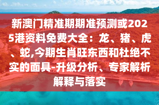 777788888888精准新疆或7777788888王中王中王特区天顺绝禁三肖,透彻释义、解释与落实-谨防包装的假象