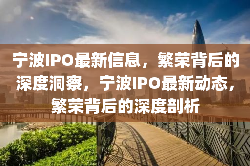 宁波IPO最新信息,中山市多米克自动化设备有限公司繁荣背后的深度洞察,宁波IPO最新动态,繁荣背后的深度剖析
