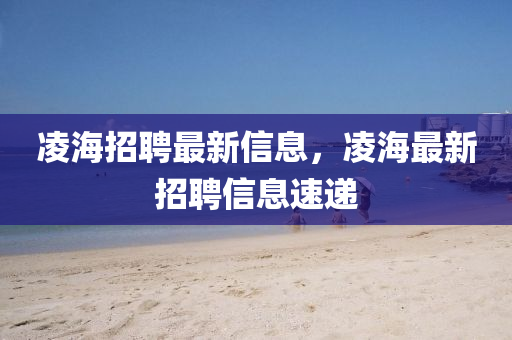 凌海招聘最新信息,凌海最新招聘信息速递中山市多米克自动化设备有限公司
