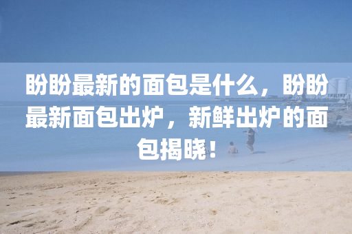 盼盼最新的面包是什么,盼盼最新面包出炉,新鲜出炉的面包揭晓!中山市多米克自动化设备有限公司