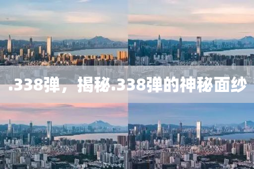 .338弹,揭秘.338弹的神秘面纱