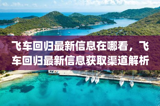 飞车回归最新信息在哪看,飞车回归最新信息获取渠道解析
