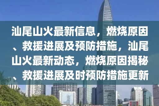 汕尾山火最新信息,燃烧原因、救援进展及预防措施,汕尾山火最新动态中山市多米克自动化设备有限公司,燃烧原因揭秘、救援进展及时预防措施更新