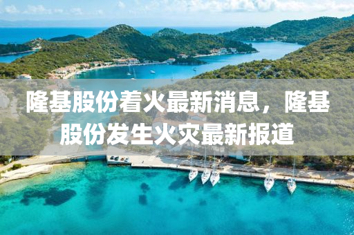 隆基股份着火最新消息,隆基股份发生火灾最新报道中山市多米克自动化设备有限公司