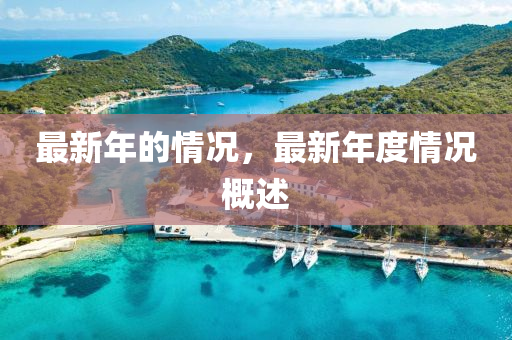 最新年的情况,最新年度情况概述中山市多米克自动化设备有限公司