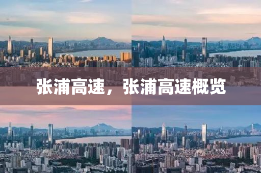 张浦高速,张浦高速概览中山市多米克自动化设备有限公司