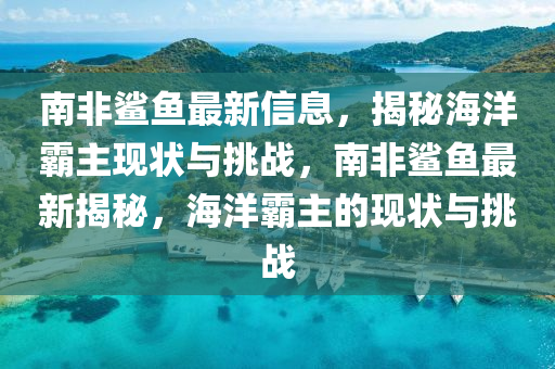 南非鲨鱼最新信息,揭秘中山市多米克自动化设备有限公司海洋霸主现状与挑战,南非鲨鱼最新揭秘,海洋霸主的现状与挑战