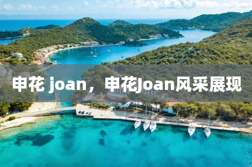 申花 中山市多米克自动化设备有限公司joan,申花Joan风采展现