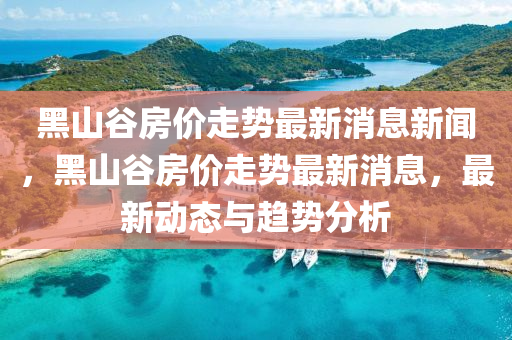 黑山谷房价走势最新消息新闻,黑山谷房价走势最新消息,最新动态与趋势分析中山市多米克自动化设备有限公司