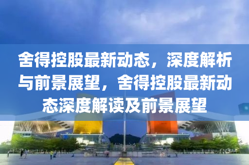 舍得控股最新动态,深度解析与前景展望,舍得控股最新动态深度解读及前景展望中山市多米克自动化设备有限公司