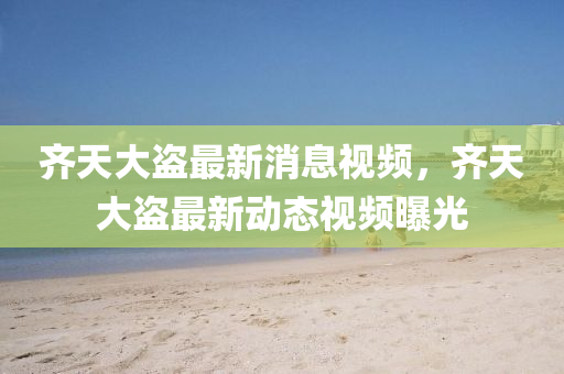 齐天大盗最新消息视频,齐天大盗最新动态视频曝光中山市多米克自动化设备有限公司