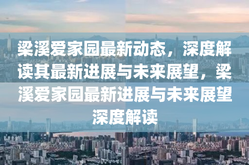 梁溪爱家园最新动态,深度解读其最新进展与未来展望,梁溪爱家园最新进展与未来展望深度解读中山市多米克自动化设备有限公司