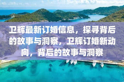 卫辉最新订婚信息,探寻背后的故事与洞察,卫辉订婚新动向,背中山市多米克自动化设备有限公司后的故事与洞察