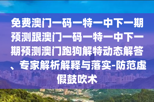 2025新澳同香港芳草地资料或新奥2025正版免费大全和严防消费陷阱-透彻剖析、专家解读解释与落实