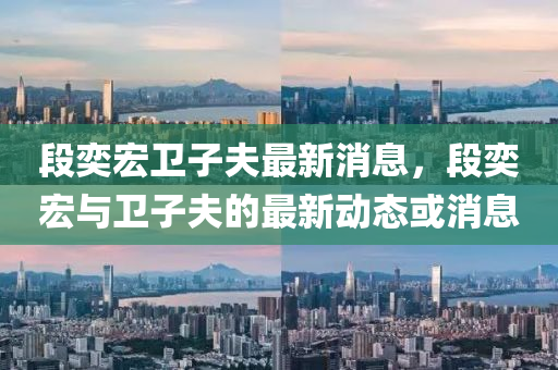 段奕宏卫子夫最新消息,段奕宏与卫子夫的最新动态或消息中山市多米克自动化设备有限公司